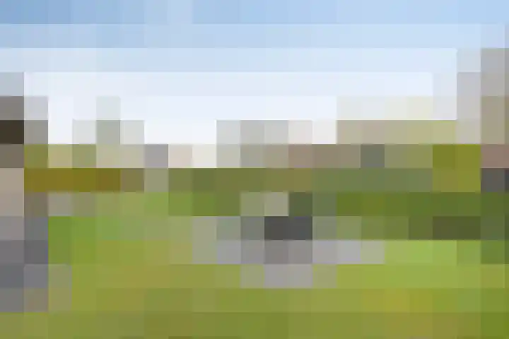 Boerweg 24 Den Ham thumbnail 31