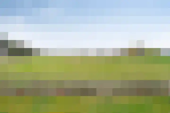 Boerweg 24 Den Ham thumbnail 38