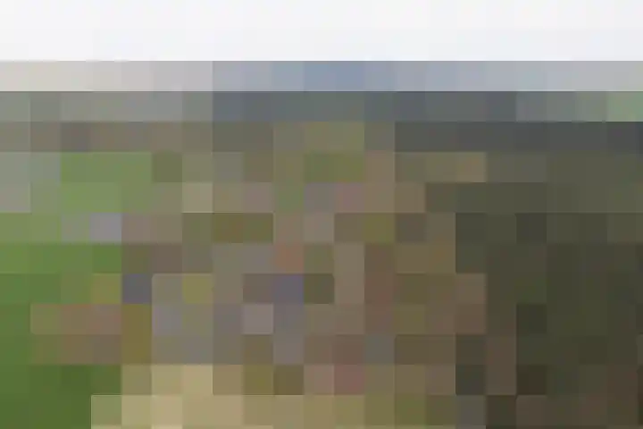 Boerweg 24 Den Ham thumbnail 4