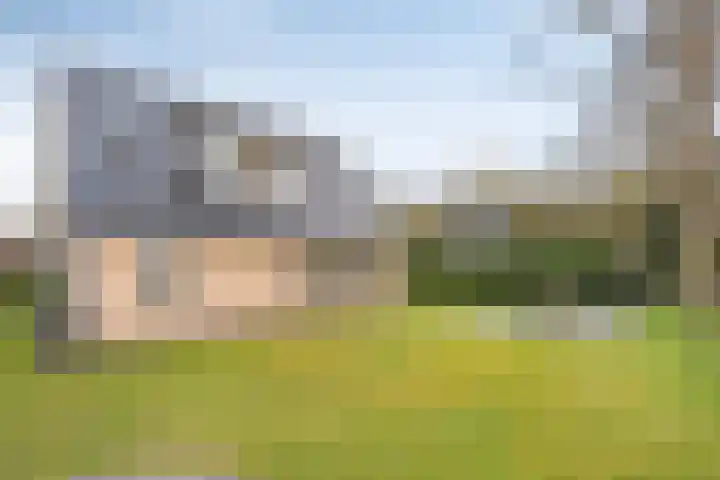 Boerweg 24 Den Ham thumbnail 5
