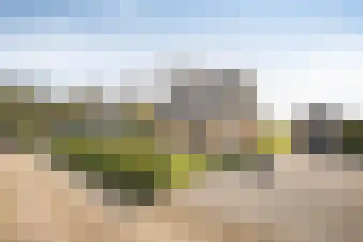 Boerweg 24 Den Ham thumbnail 6