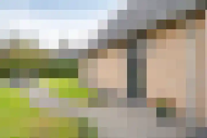 Boerweg 24 Den Ham thumbnail 8