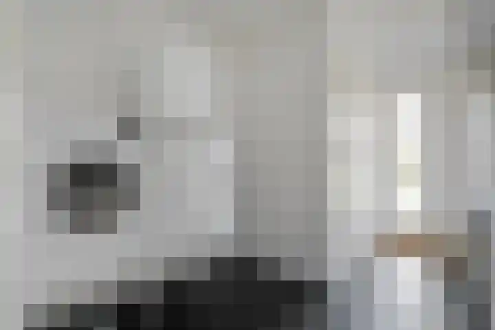 Boerweg 24 Den Ham thumbnail 9