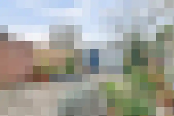 Boesmate 31 Doetinchem thumbnail 45