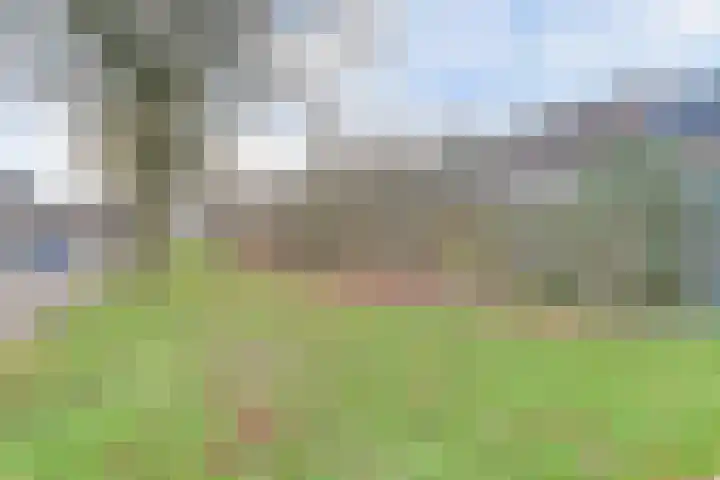 Boesmate 31 Doetinchem thumbnail 54