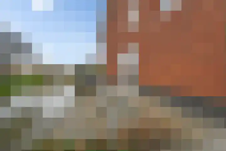Boetersstraat 2 Wateringen thumbnail 17
