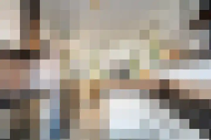Boetersstraat 2 Wateringen thumbnail 31