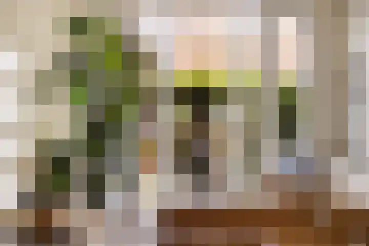 Boezem 5 Giessenburg thumbnail 10