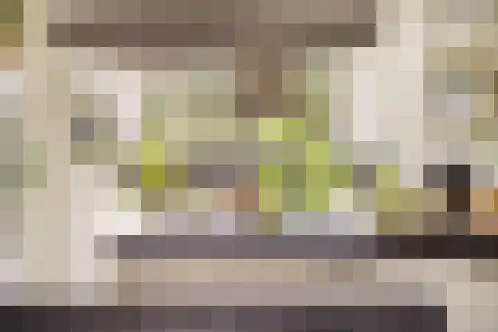 Boezem 5 Giessenburg thumbnail 12