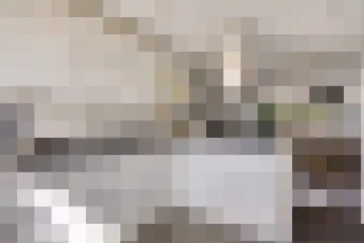Boezem 5 Giessenburg thumbnail 16