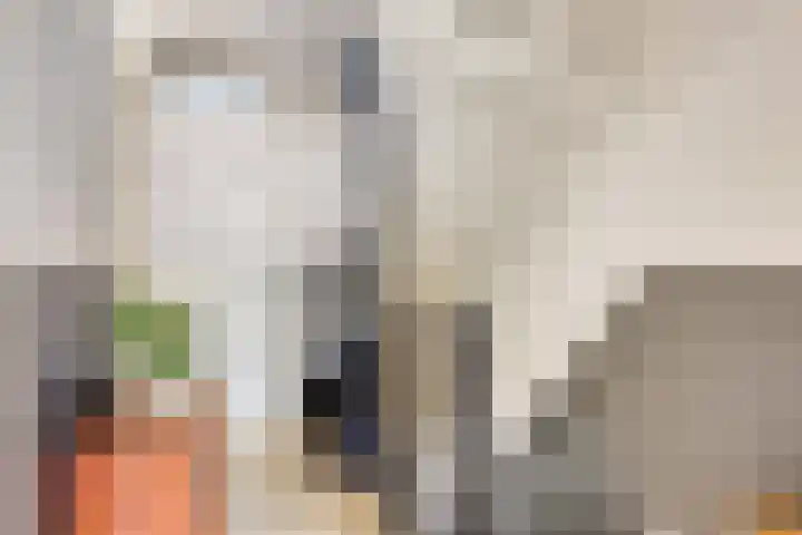 Boezem 5 Giessenburg thumbnail 18