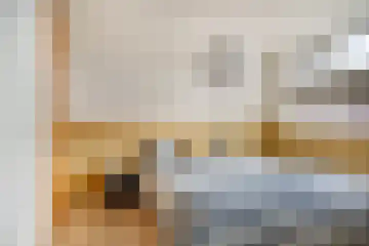 Boezem 5 Giessenburg thumbnail 19