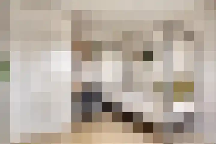 Boezem 5 Giessenburg thumbnail 27
