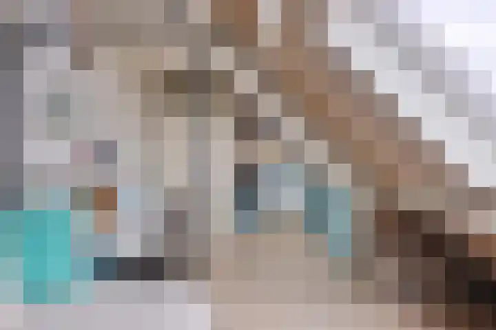Boezem 5 Giessenburg thumbnail 30