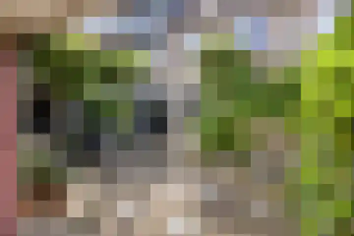 Boezem 5 Giessenburg thumbnail 33