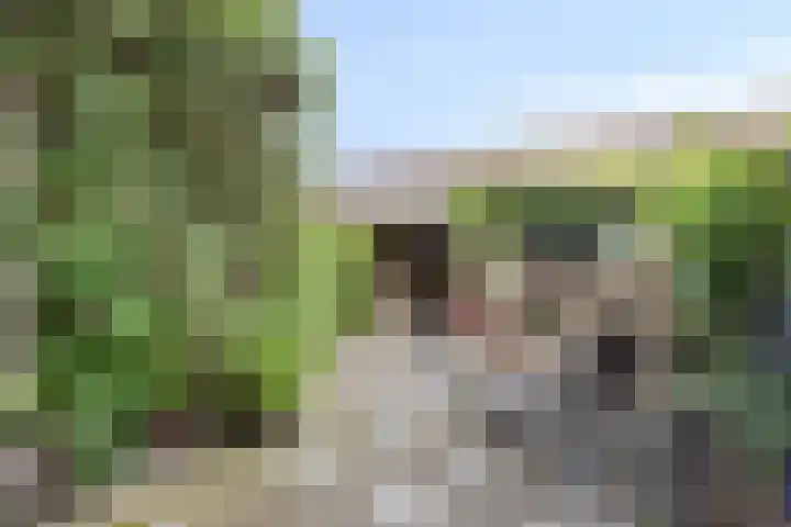 Boezem 5 Giessenburg thumbnail 34