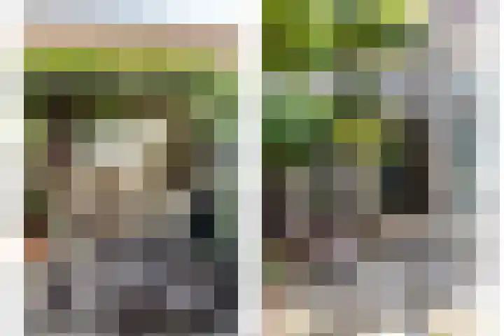 Boezem 5 Giessenburg thumbnail 35