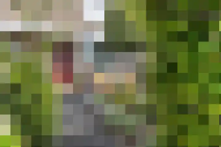 Boezem 5 Giessenburg thumbnail 4