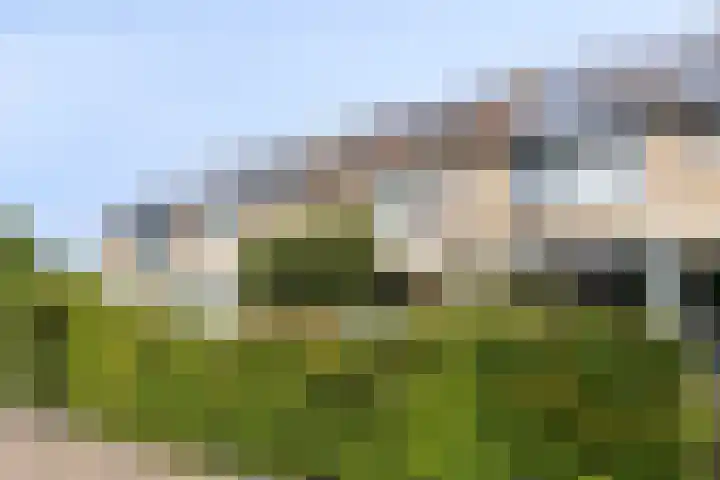 Boezem 5 Giessenburg thumbnail 48