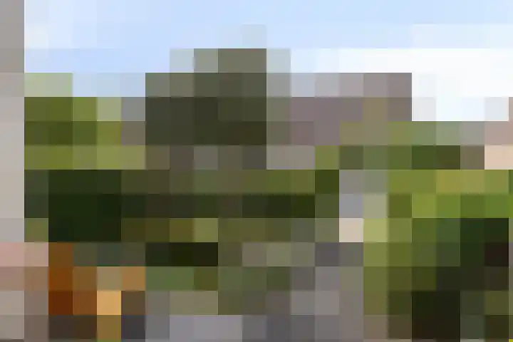 Boezem 5 Giessenburg thumbnail 5