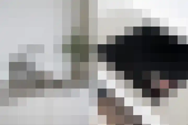Boezemkade 211 Rotterdam thumbnail 12