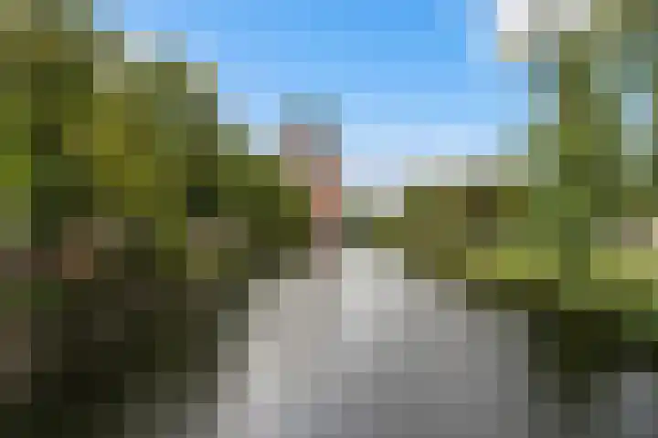 Boezemkade 211 Rotterdam thumbnail 27