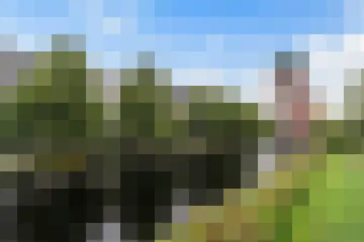 Boezemkade 211 Rotterdam thumbnail 28