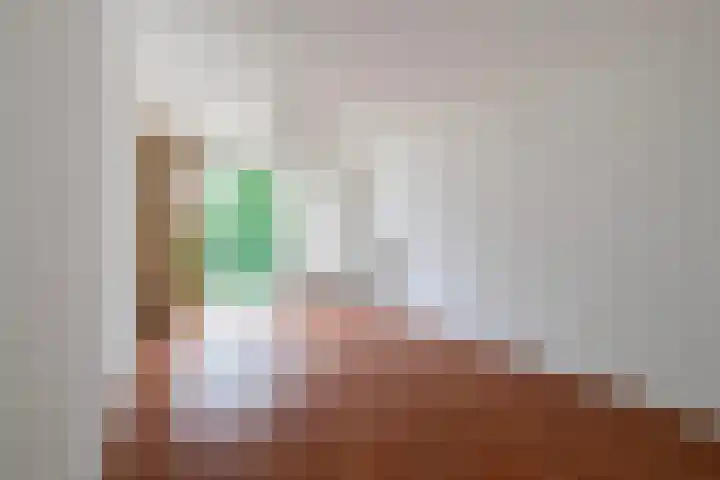 Boezemkade 277 Rotterdam thumbnail 12