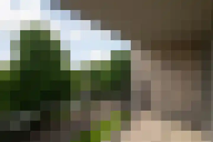 Boezemkade 277 Rotterdam thumbnail 15