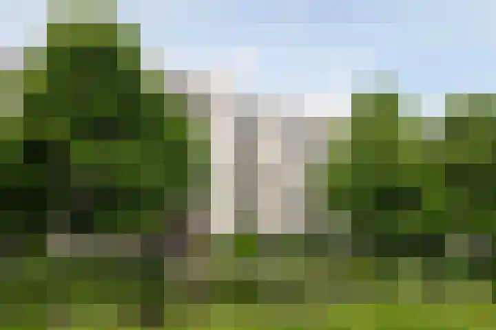 Boezemkade 277 Rotterdam thumbnail 22