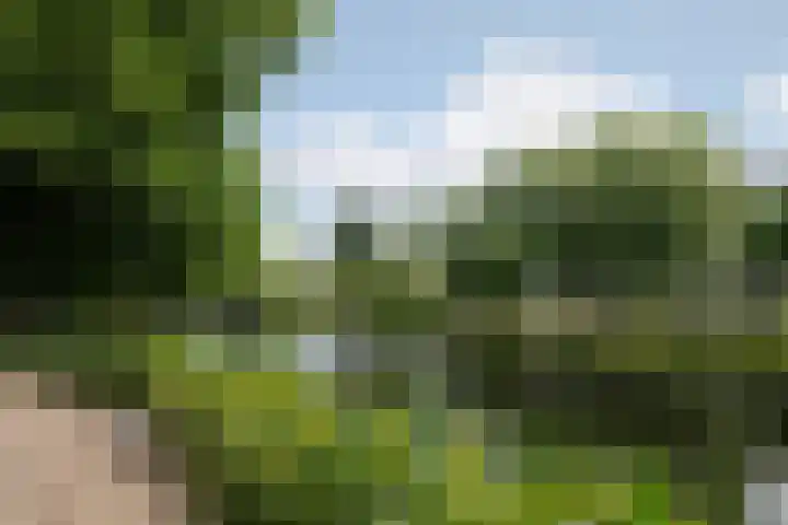 Boezemkade 277 Rotterdam thumbnail 30
