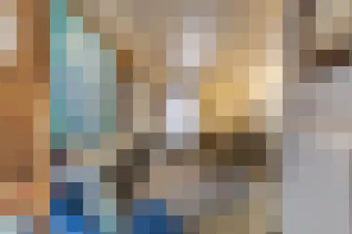 Bogardeind 136 Geldrop thumbnail 22
