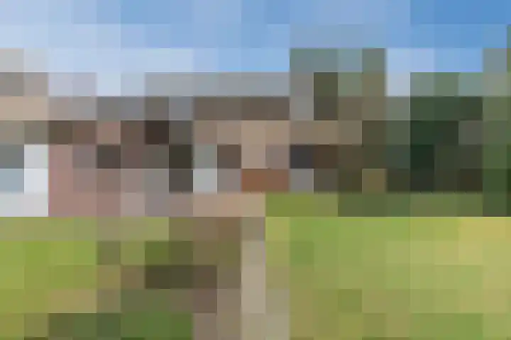 Bogardeind 136 Geldrop thumbnail 48