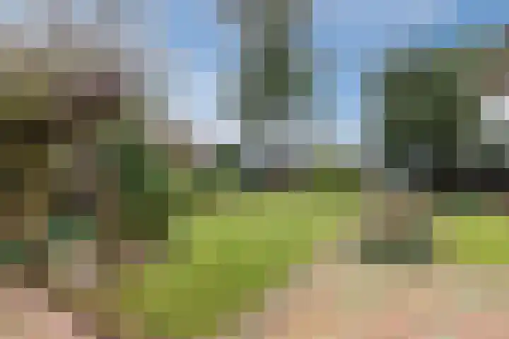 Bogardeind 136 Geldrop thumbnail 53