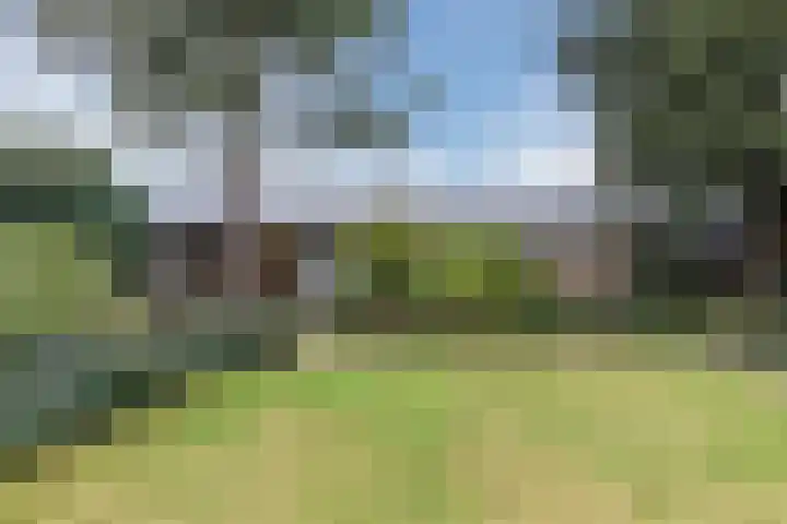 Bogardeind 136 Geldrop thumbnail 55