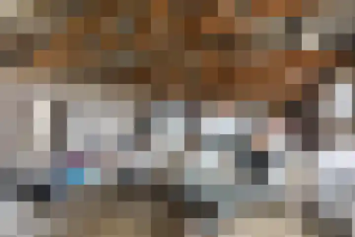 Bogardeind 136 Geldrop thumbnail 57