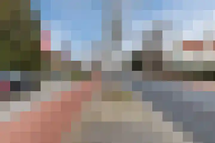Bogardeind 136 Geldrop thumbnail 64