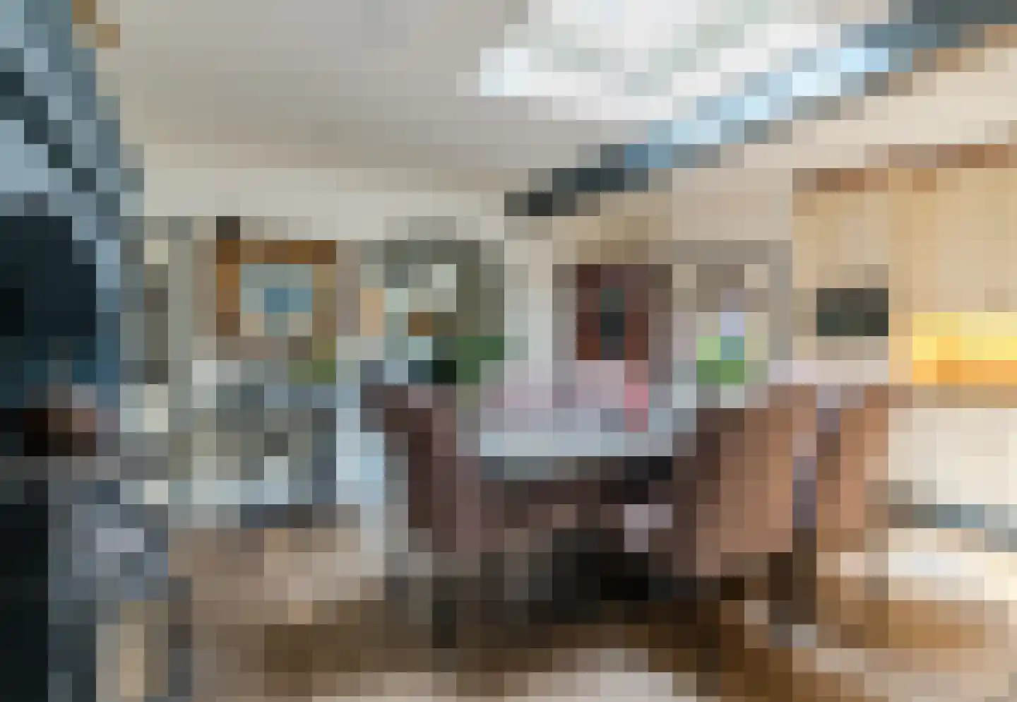 Bogardeind 211 Geldrop thumbnail 11