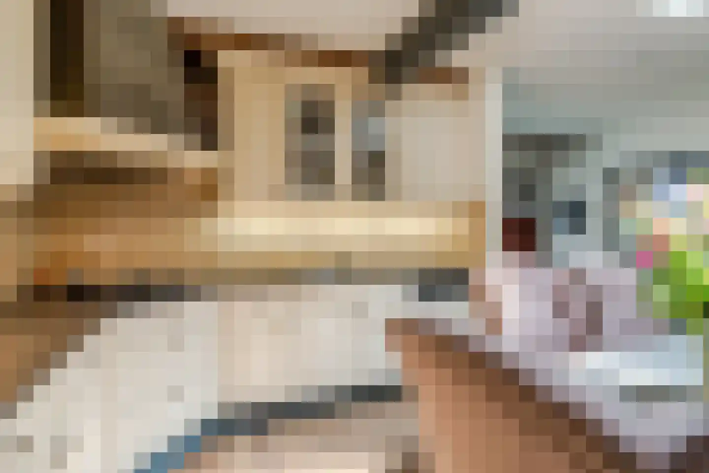 Bogardeind 211 Geldrop thumbnail 12