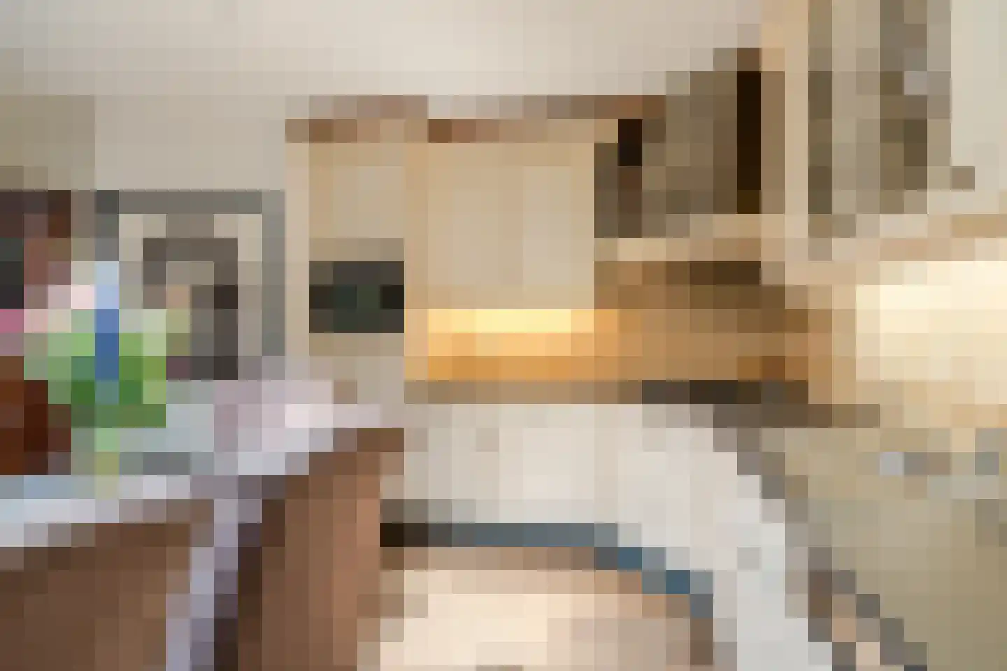 Bogardeind 211 Geldrop thumbnail 13