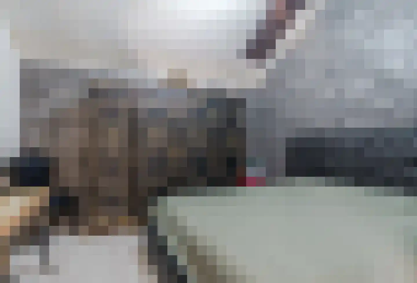 Bogardeind 211 Geldrop thumbnail 15