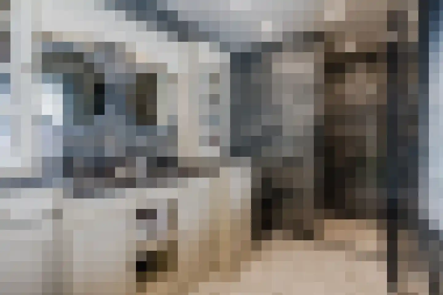 Bogardeind 211 Geldrop thumbnail 17