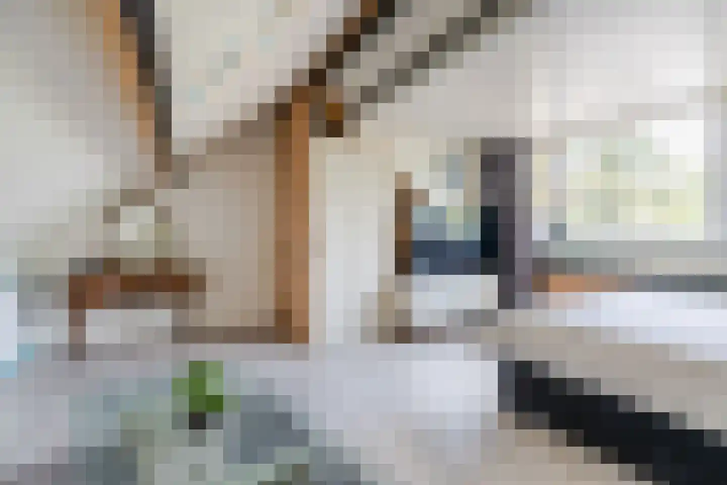 Bogardeind 211 Geldrop thumbnail 30