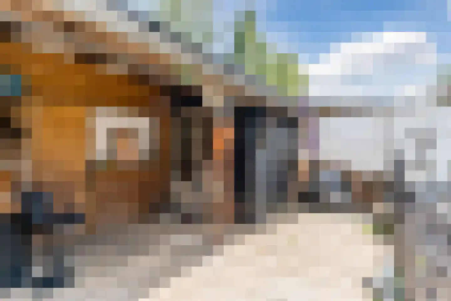 Bogardeind 211 Geldrop thumbnail 37