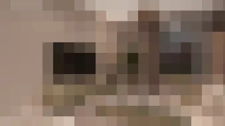 Bogardeind 23 Geldrop thumbnail 6