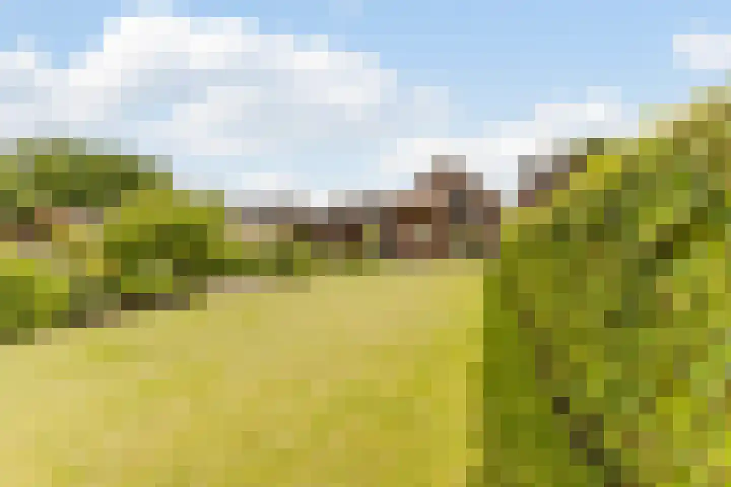 Bogardeind 76 B Geldrop thumbnail 43