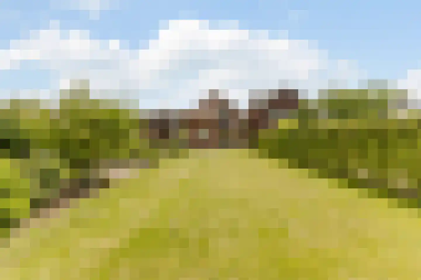Bogardeind 76 B Geldrop thumbnail 44