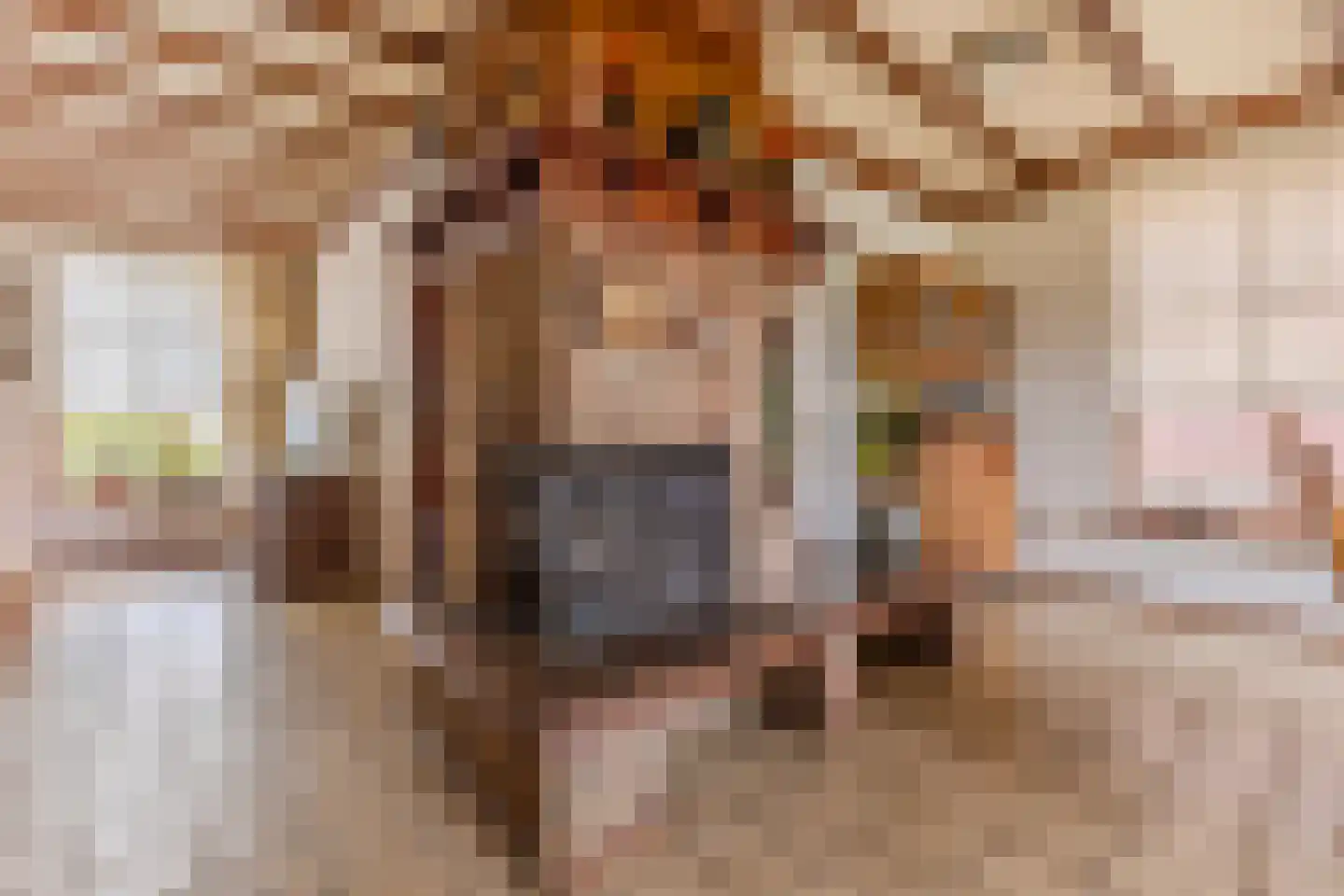 Bogardeind 76 B Geldrop thumbnail 7