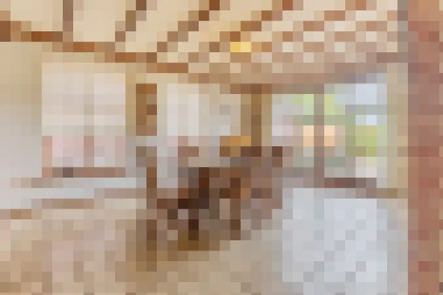 Bogardeind 76 B Geldrop thumbnail 9