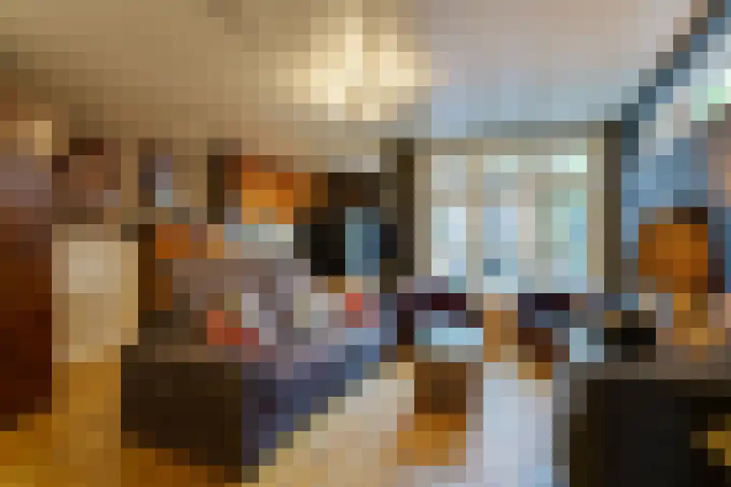 Bogardeind 78 A Geldrop thumbnail 12